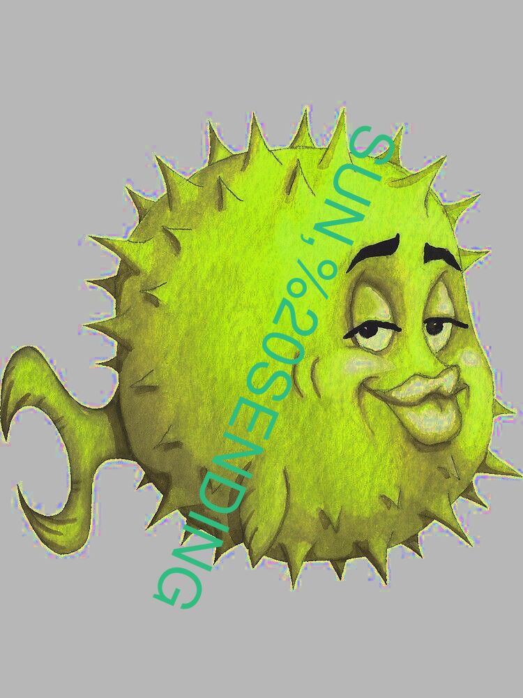 SUN, SENDING